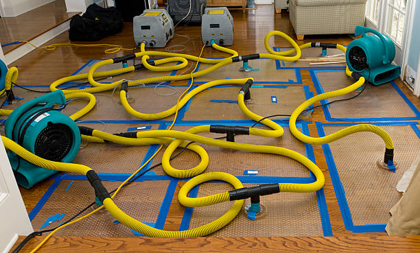 Professional Flood Damage Restoration technician working in Garrison, MD